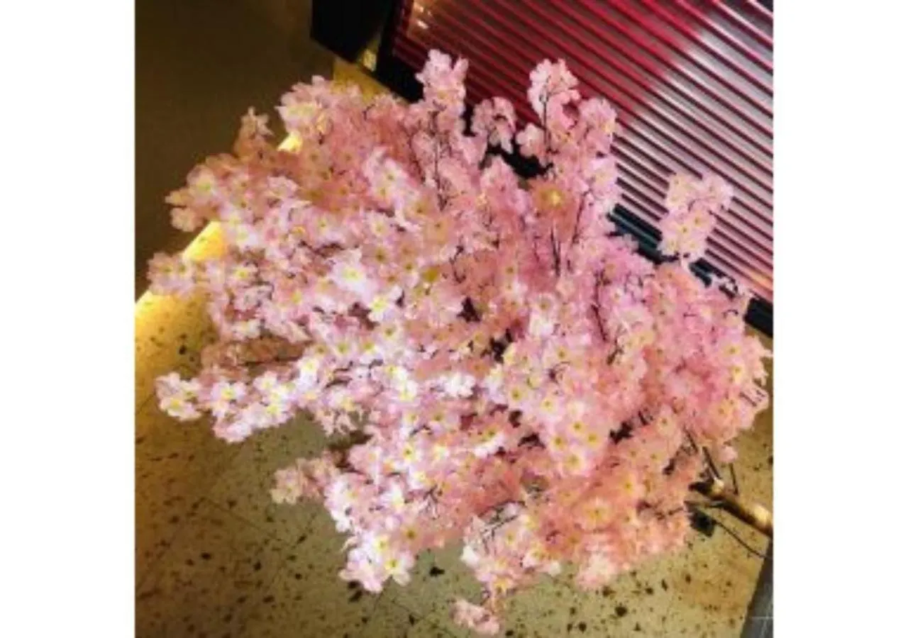 Sakura Sky Hotel - Vacation Stay 18432V Tokyo Japan